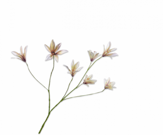 SILK-KA Rama de lirio lavanda/crema | 85 cm SILK-KA Rama de lirio lavanda/crema | 85 cm