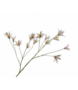 SILK-KA Rama de lirio lavanda/crema | 114 cm