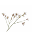 SILK-KA Branche de lys Lavande/Crème | 114 cm