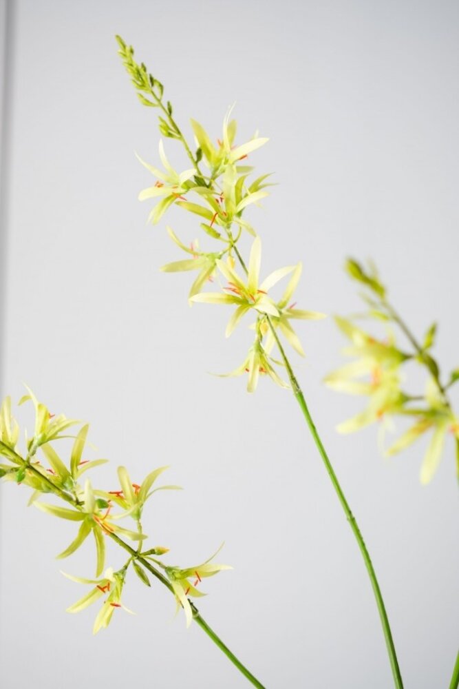 SILK-KA Crocosmia Branch Green | 95 cm SILK-KA Crocosmia Branch Green | 95 cm