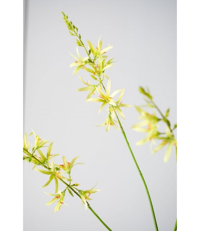 SILK-KA Branche de crocosmia verte | 95 cm