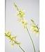 SILK-KA Crocosmia-gren grønn | 95 cm