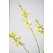 SILK-KA Crocosmia Branch Green | 95 cm SILK-KA Crocosmia Branch Green | 95 cm