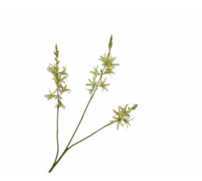 SILK-KA Crocosmia-Zweig Grün | 95 cm SILK-KA Crocosmia-Zweig Grün | 95 cm