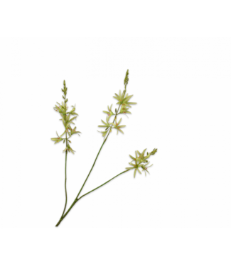 SILK-KA Crocosmia Tak Groen | 95 cm