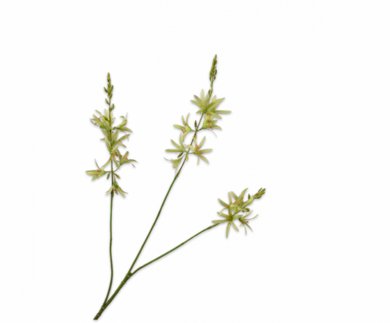 SILK-KA Crocosmia Branch Green | 95 cm SILK-KA Crocosmia Branch Green | 95 cm