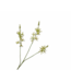 SILK-KA Crocosmia-Zweig Grün | 95 cm
