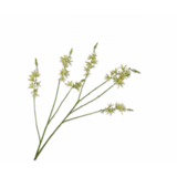 SILK-KA Crocosmia-gren grønn | 117 cm SILK-KA Crocosmia-gren grønn | 117 cm