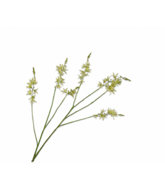 SILK-KA Rama de crocosmia verde | 117 cm