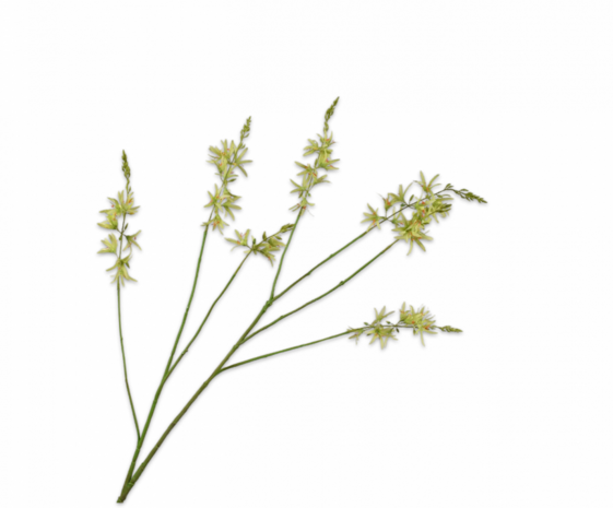 SILK-KA Rama de crocosmia verde | 117 cm SILK-KA Rama de crocosmia verde | 117 cm