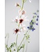 SILK-KA Delphinium Tak Creme/Roze | 101 cm