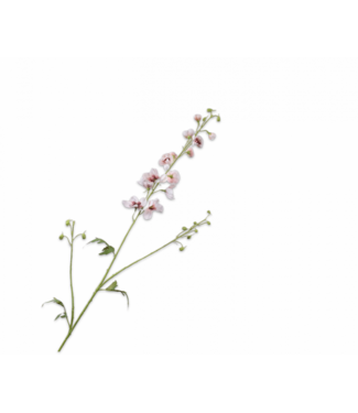 SILK-KA Branche de delphinium crème/rose | 101 cm