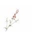 SILK-KA Delphinium Branch Pink/Beauty | 101 cm