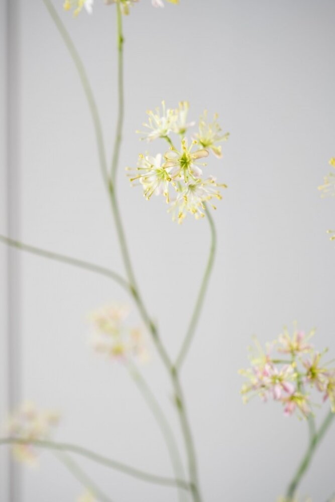 SILK-KA Aralia Branch Pink LT | 114 cm SILK-KA Aralia Branch Pink LT | 114 cm