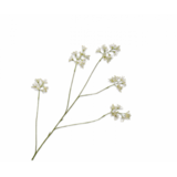 SILK-KA Aralia Branche Rose LT | 114 cm SILK-KA Aralia Branche Rose LT | 114 cm