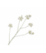 SILK-KA Aralia Branch Pink LT | 114 cm