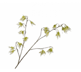 SILK-KA Rama Fucsia Blanco/Verde | 128 cm