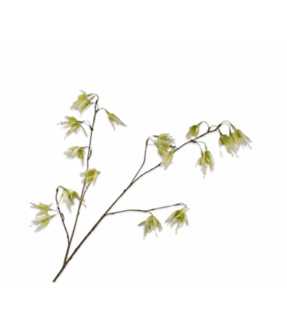 SILK-KA Rama Fucsia Blanco/Verde | 128 cm
