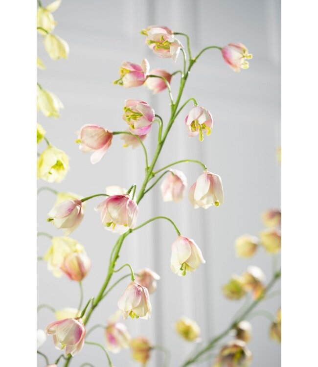 SILK-KA Fritillaria Tak Cream/Pink | 111 cm