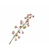 SILK-KA Fritillaria Tak Crème/Rose | 111 cm SILK-KA Fritillaria Tak Crème/Rose | 111 cm