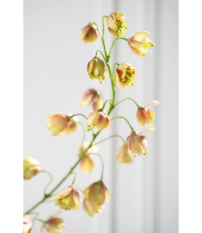 SILK-KA Branche de fritillaire brune/verte | 111 cm