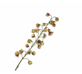 SILK-KA Ramo di Fritillaria marrone/verde | 111 cm SILK-KA Ramo di Fritillaria marrone/verde | 111 cm