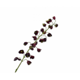 SILK-KA Fritillaria-Zweig Bordeaux | 111 cm SILK-KA Fritillaria-Zweig Bordeaux | 111 cm