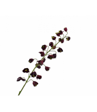 SILK-KA Fritillaria Branch Bordeaux | 111 cm