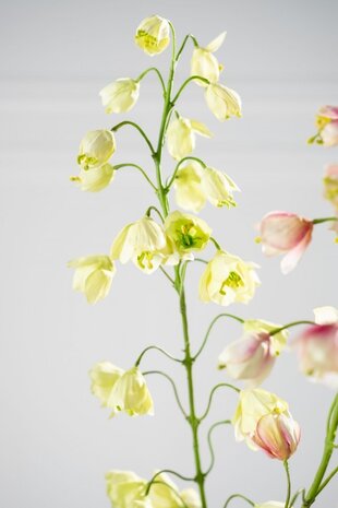 SILK-KA Rama de fritillaria verde | 111 cm SILK-KA Rama de fritillaria verde | 111 cm