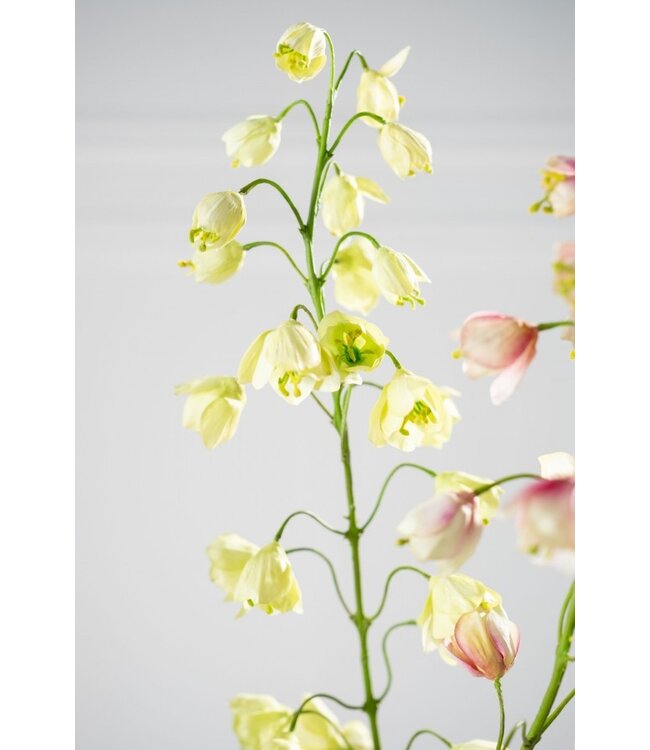 SILK-KA Grüne Fritillaria-Zweig | 111 cm