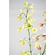 SILK-KA Grüne Fritillaria-Zweig | 111 cm SILK-KA Grüne Fritillaria-Zweig | 111 cm