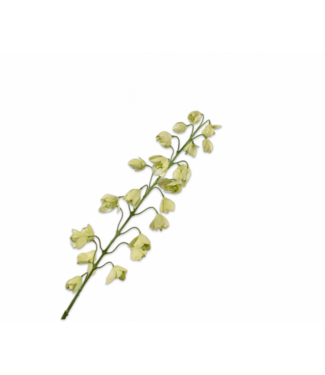 SILK-KA Fritillaria Tak Groen | 111 cm