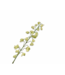 SILK-KA Branche de fritillaire verte | 111 cm