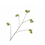 SILK-KA Branche de houblon verte | 108 cm