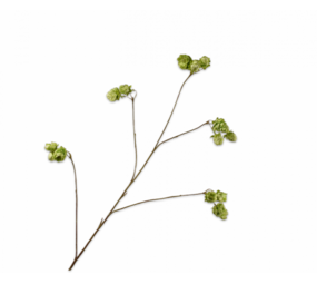 SILK-KA Branche de houblon verte | 108 cm