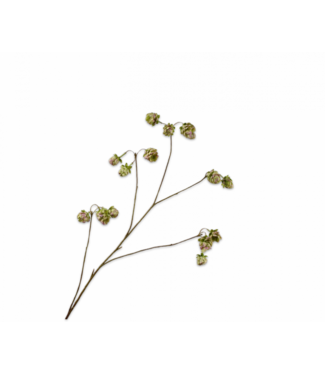 SILK-KA Hop Branch Green/Pink | 108 cm