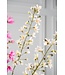 SILK-KA Rama de jacinto crema | 111 cm
