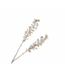 SILK-KA Hyacinth Branch Cream | 111 cm