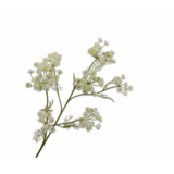 SILK-KA Branche d'aneth blanche | 105 cm