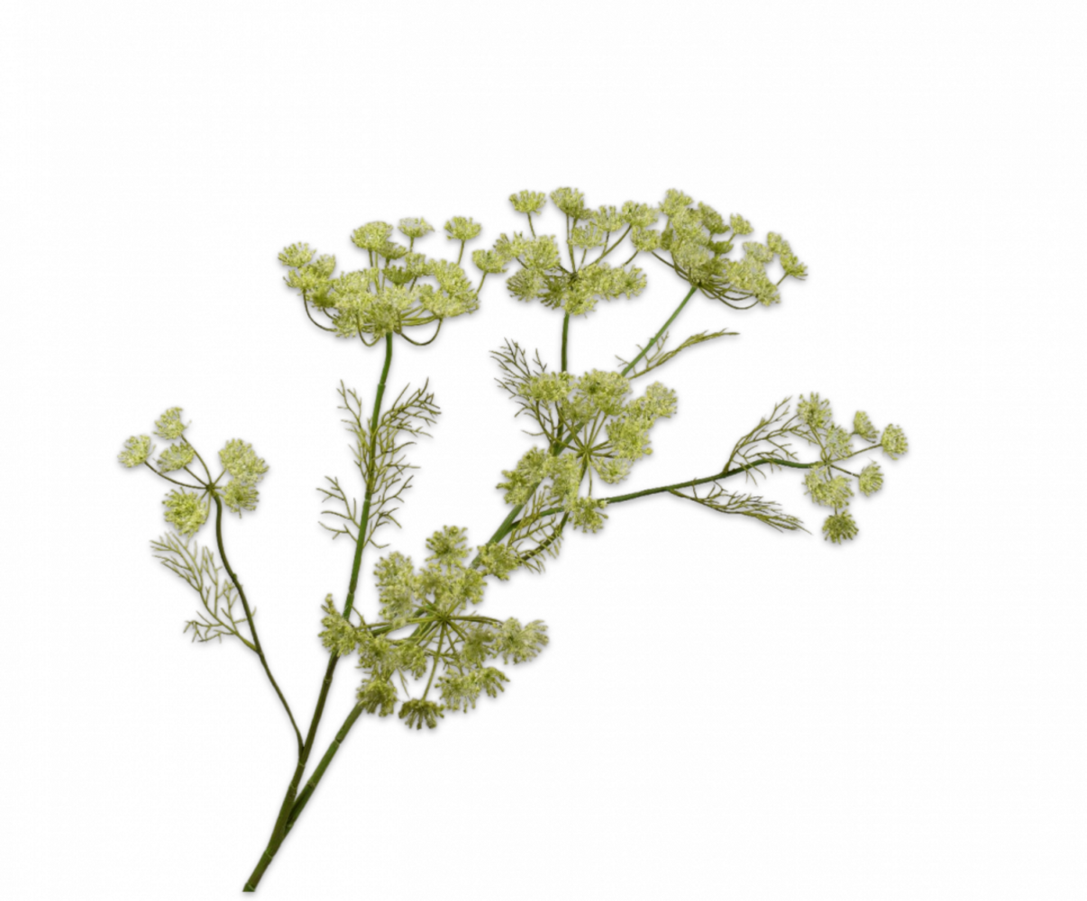 SILK-KA Rama de eneldo verde | 105 cm SILK-KA Rama de eneldo verde | 105 cm