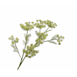 SILK-KA Dillgren Grønn | 105 cm SILK-KA Dillgren Grønn | 105 cm