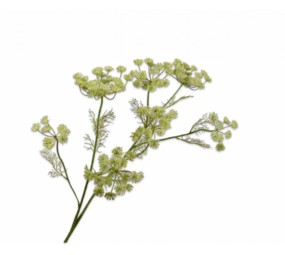 SILK-KA Dillgren Grønn | 105 cm