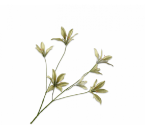 SILK-KA Liljegren Grønn | 85 cm SILK-KA Liljegren Grønn | 85 cm