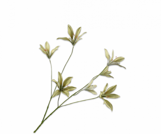 SILK-KA Lelie Tak Groen | 85 cm SILK-KA Lelie Tak Groen | 85 cm
