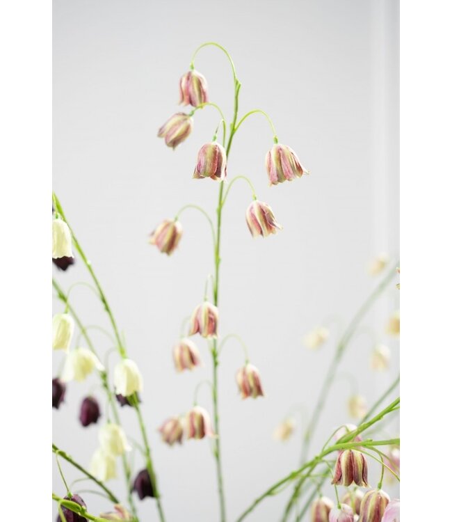 SILK-KA Ramo di Fritillaria Bordeaux/Verde | 97 cm