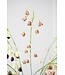 SILK-KA Fritillaria-Zweig Bordeaux/Grün | 97 cm