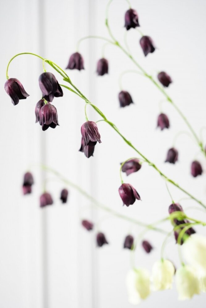 SILK-KA Fritillaria-Zweig Bordeaux | 97 cm SILK-KA Fritillaria-Zweig Bordeaux | 97 cm