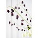 SILK-KA Ramo di Fritillaria Bordeaux | 97 cm SILK-KA Ramo di Fritillaria Bordeaux | 97 cm