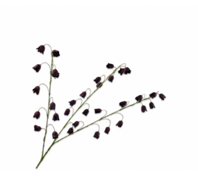 SILK-KA Fritillaria Branch Bordeaux | 97 cm SILK-KA Fritillaria Branch Bordeaux | 97 cm