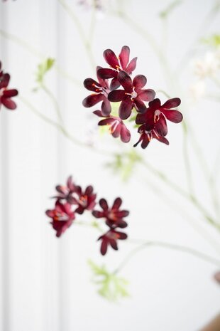 SILK-KA Branche de géranium Bordeaux | 94 cm SILK-KA Branche de géranium Bordeaux | 94 cm